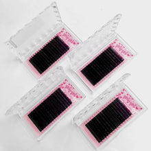 Load image into Gallery viewer, Cashmere Lash Trays D Curl
