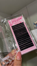 Load image into Gallery viewer, Cashmere Lash Trays D Curl
