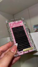 Load image into Gallery viewer, Cashmere Lash Trays D Curl
